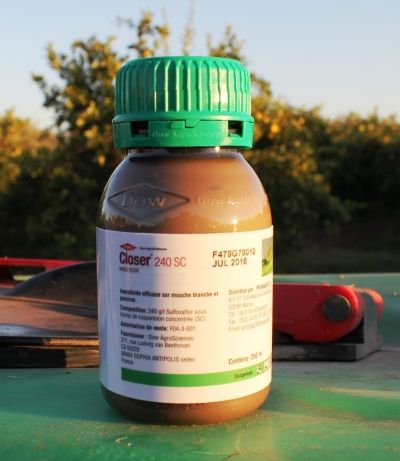 Insecticides Image