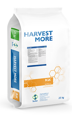 Insecticides Image