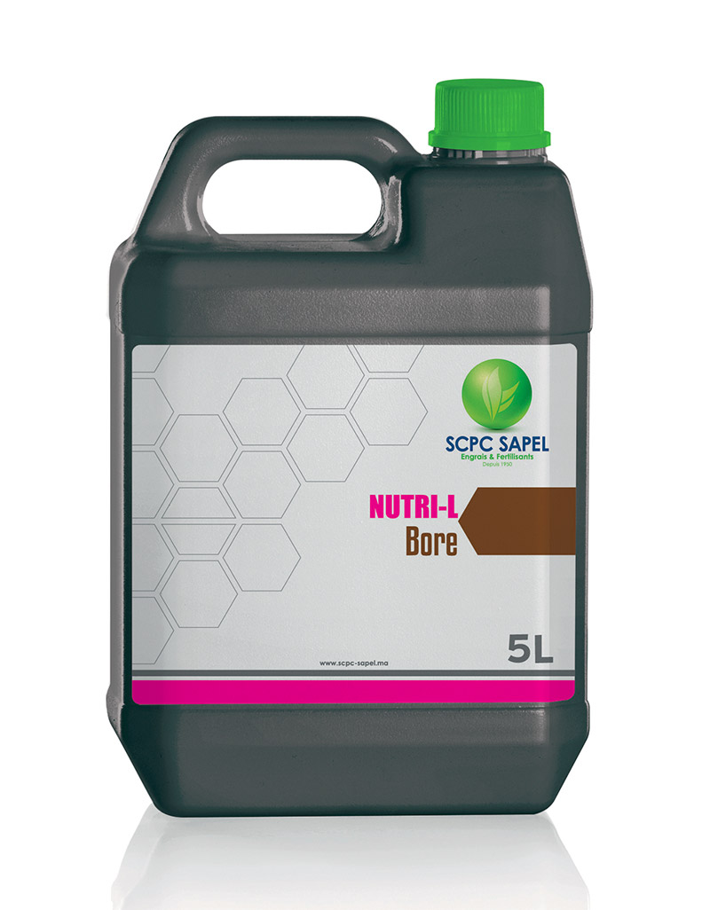 Insecticides Image